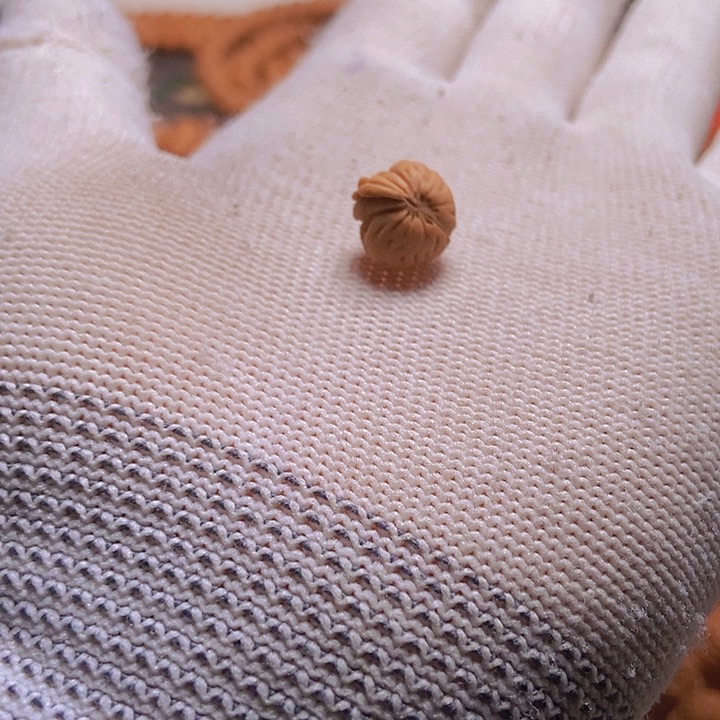 手串桃核君****1龙纹桃核