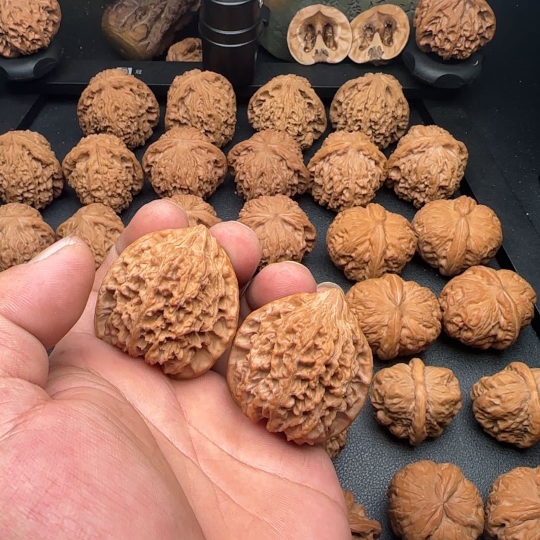 41尺全品无修满天星