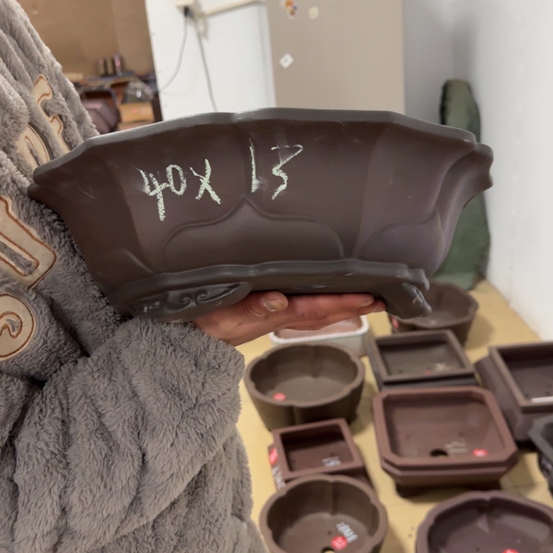 紫砂花盆呜呜呜呜