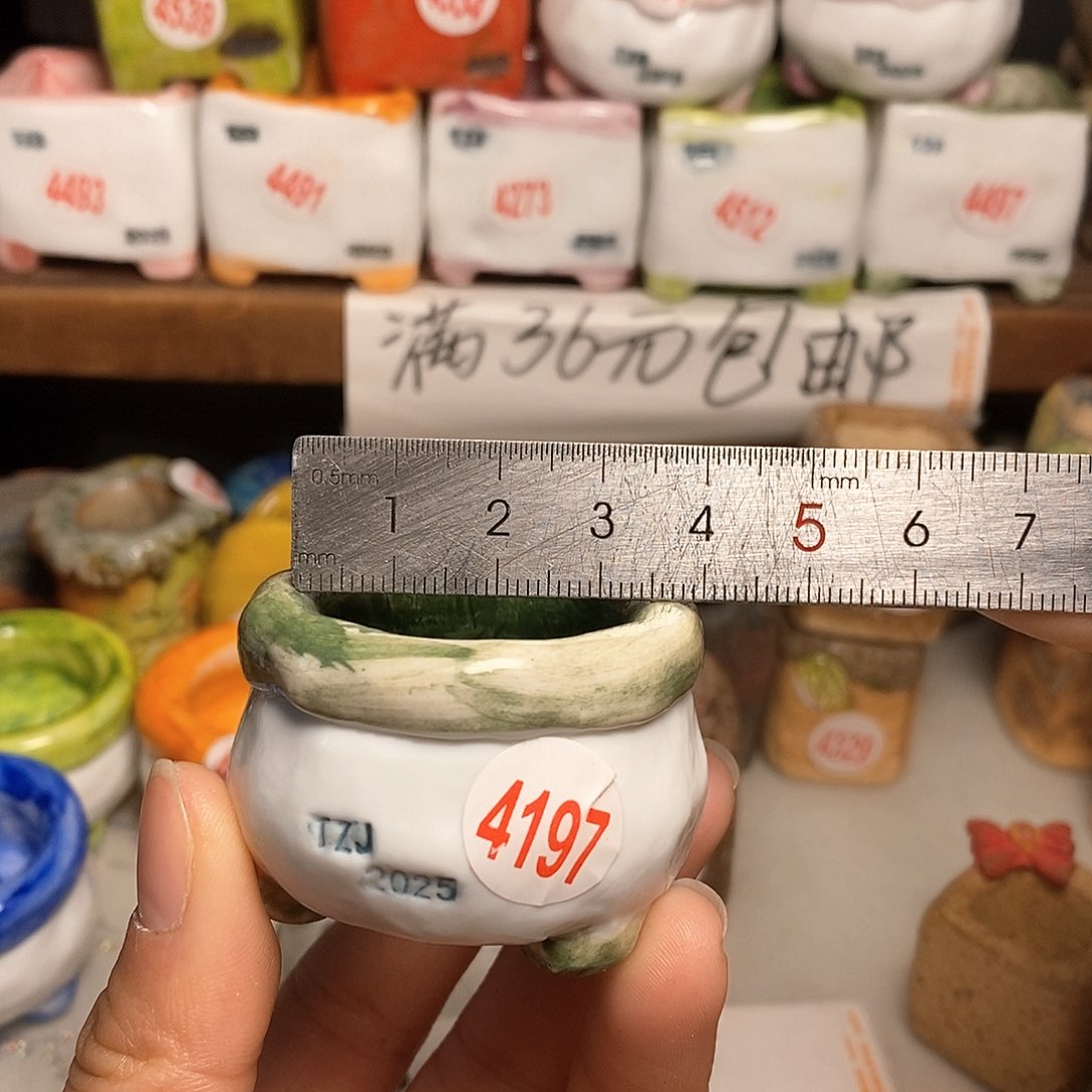 红陶拍5送一个小
