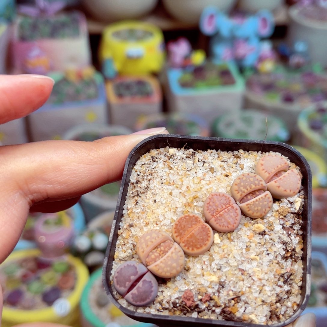 385。888888888888888888