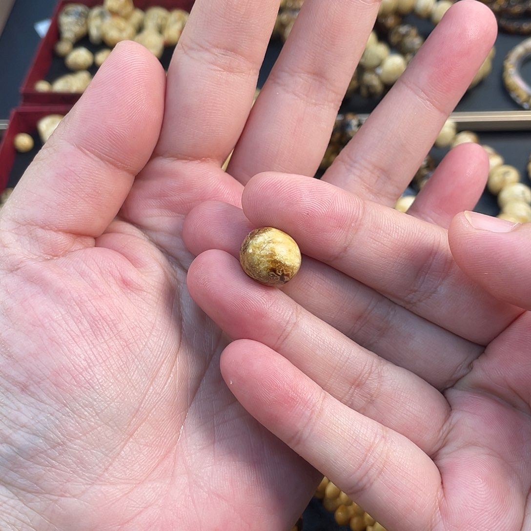 小***生琥珀未镶嵌裸石13珠子