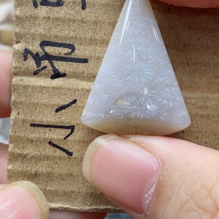 硅化珊瑚（珊瑚玉）颈饰未镶嵌