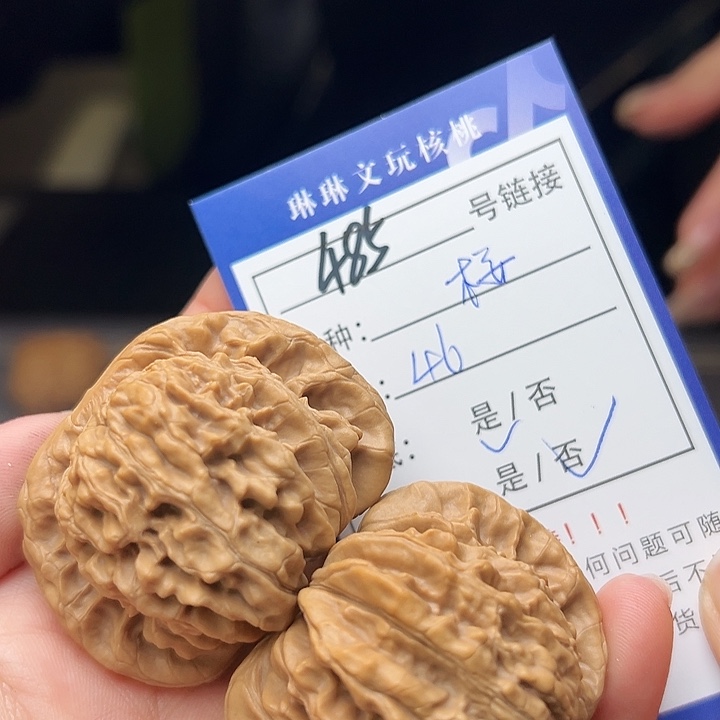 文玩核桃吊坠核桃树485