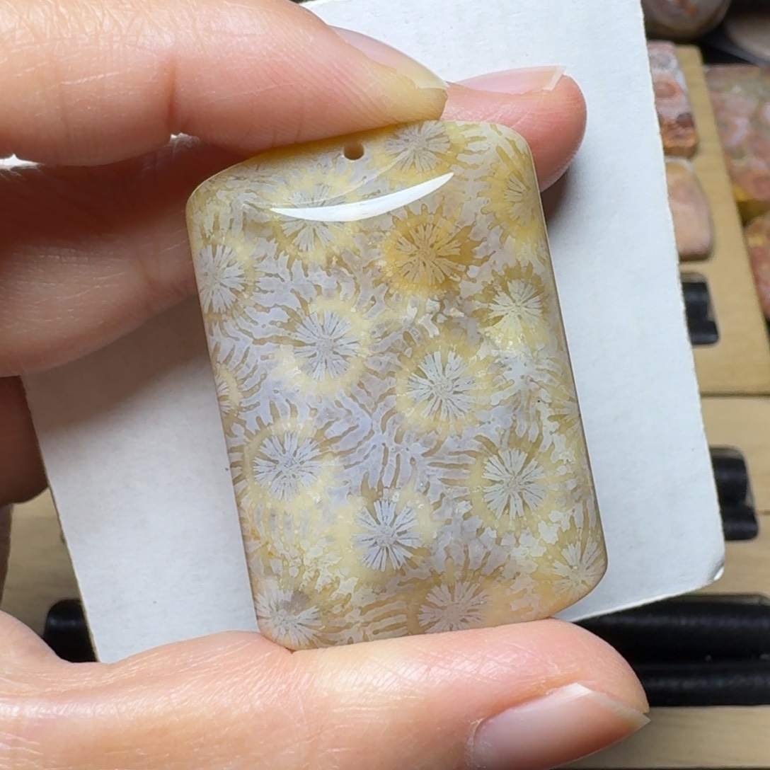 硅化木玉透美花未镶嵌