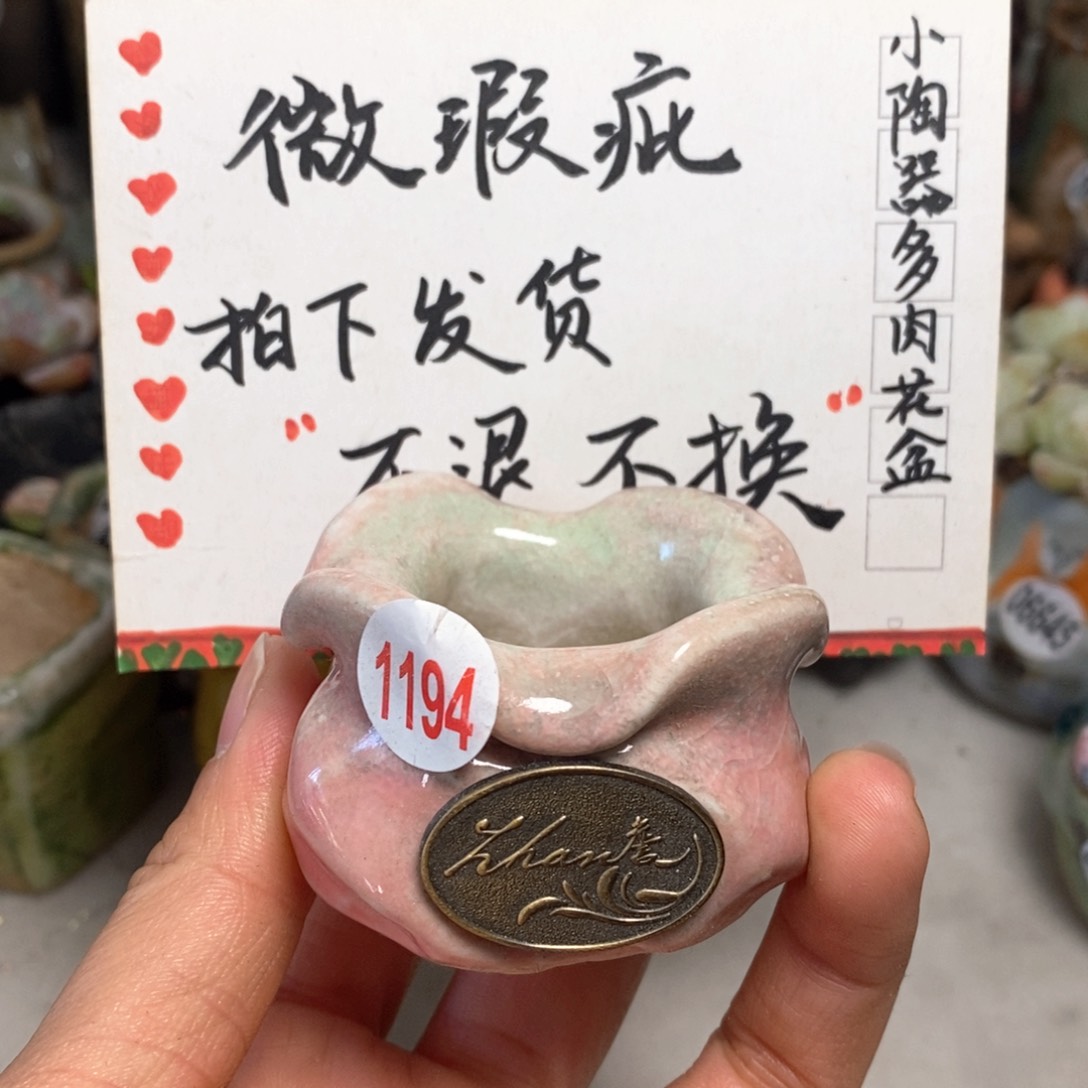 花盆拍5送一个小礼物