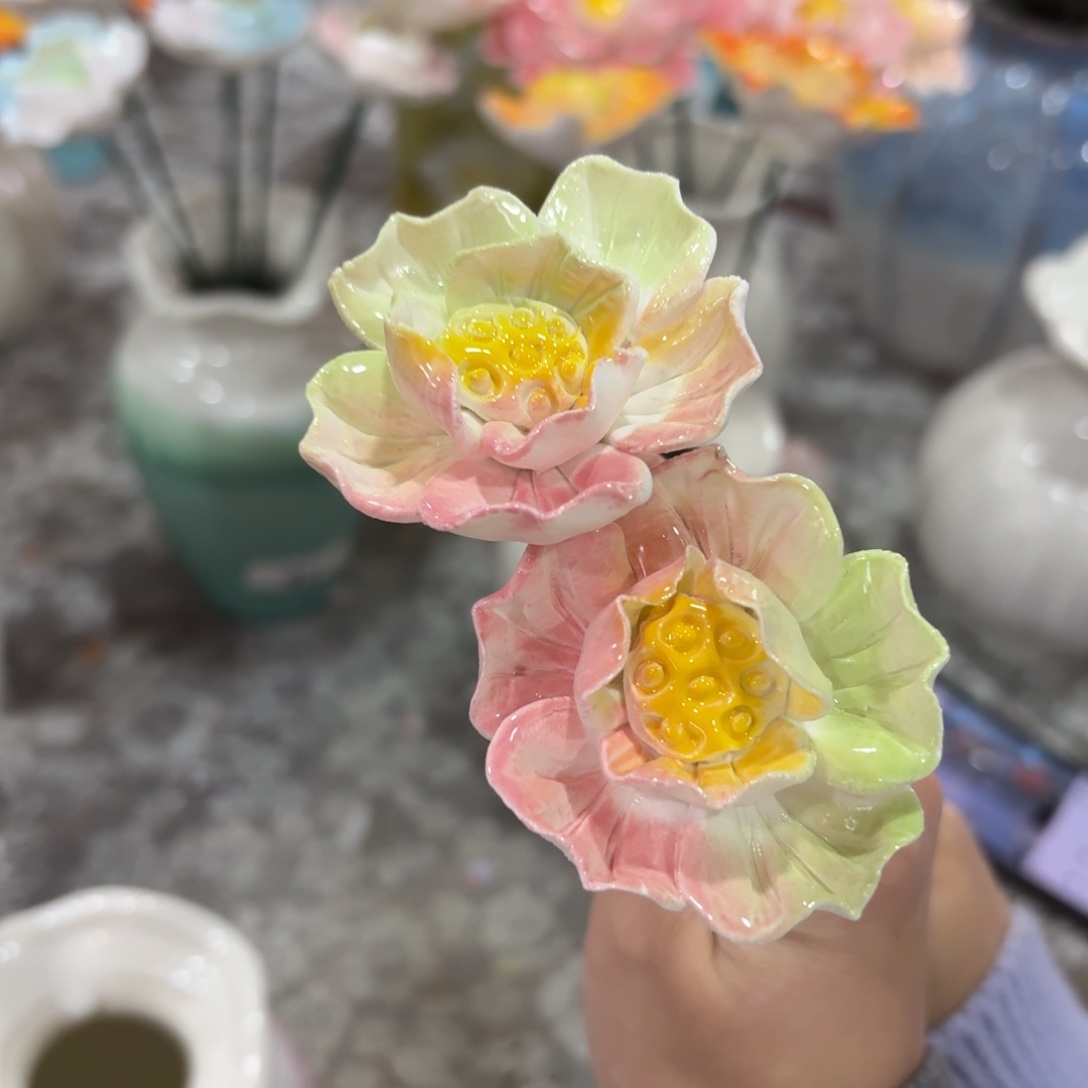 陶瓷花拍满20元发货退款拉黑