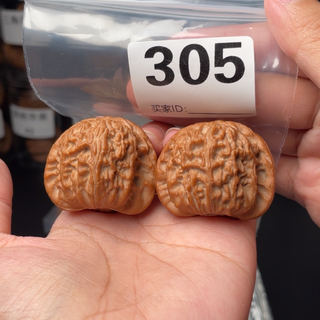 39白狮子39白狮子