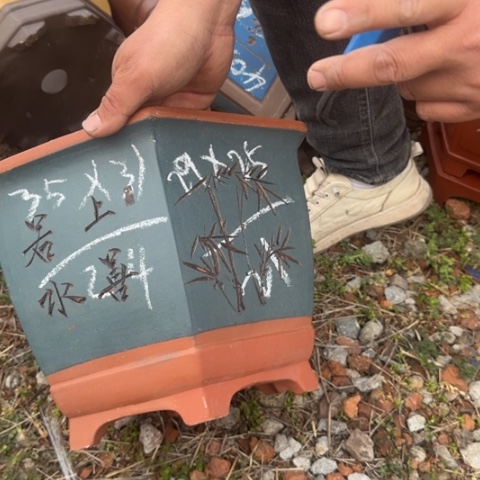 红陶紫砂花盆盆景盆栽