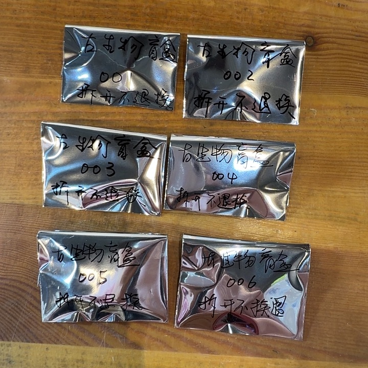 涤纶古生物盲盒（拆开不退换