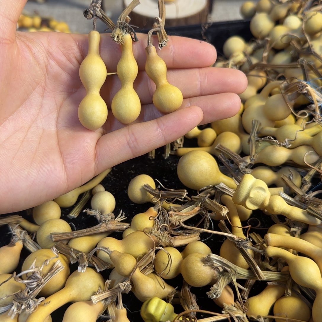 王***行打孔不退不换！秒拍秒退拉黑！