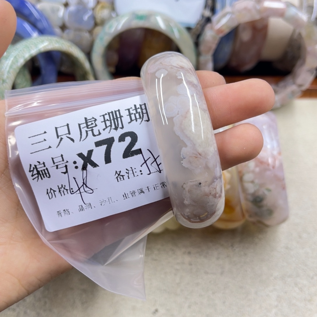 大***纲硅化珊瑚（珊瑚玉）未镶嵌h