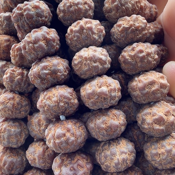 金刚菩提吊坠飞碟药品梅花10+