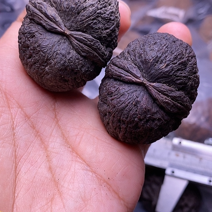 文玩核桃把件  108