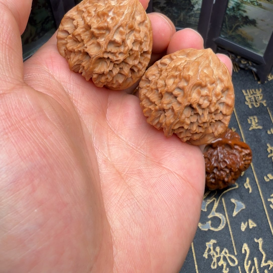 文玩核桃吊坠珊瑚塔36.5