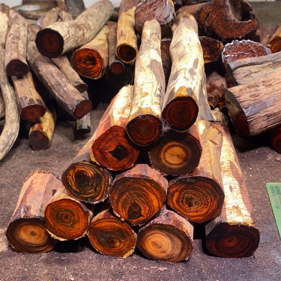 军***有机玻璃在线函数等方面