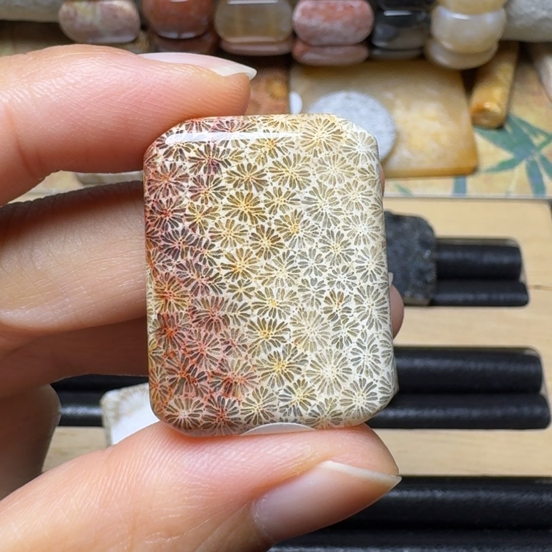 硅化玉清晰枫叶40未镶嵌小*