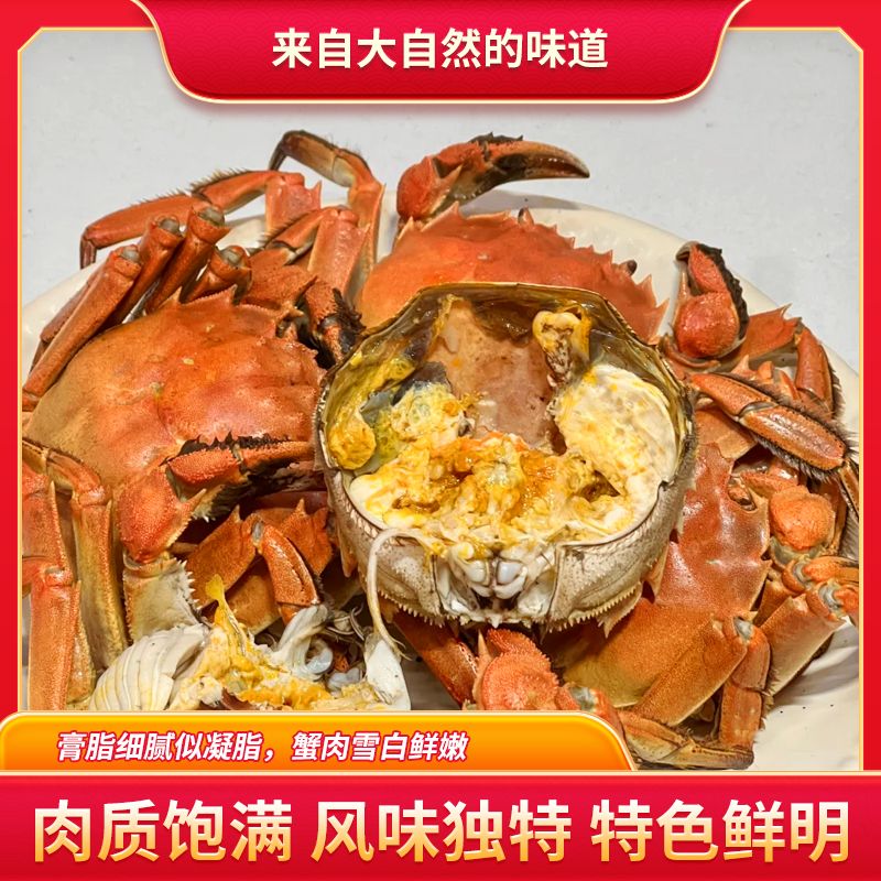 【活蟹】盘锦河蟹（1.6-1.3两） 母蟹 2斤-3斤（16-23只） 京东冷链到家