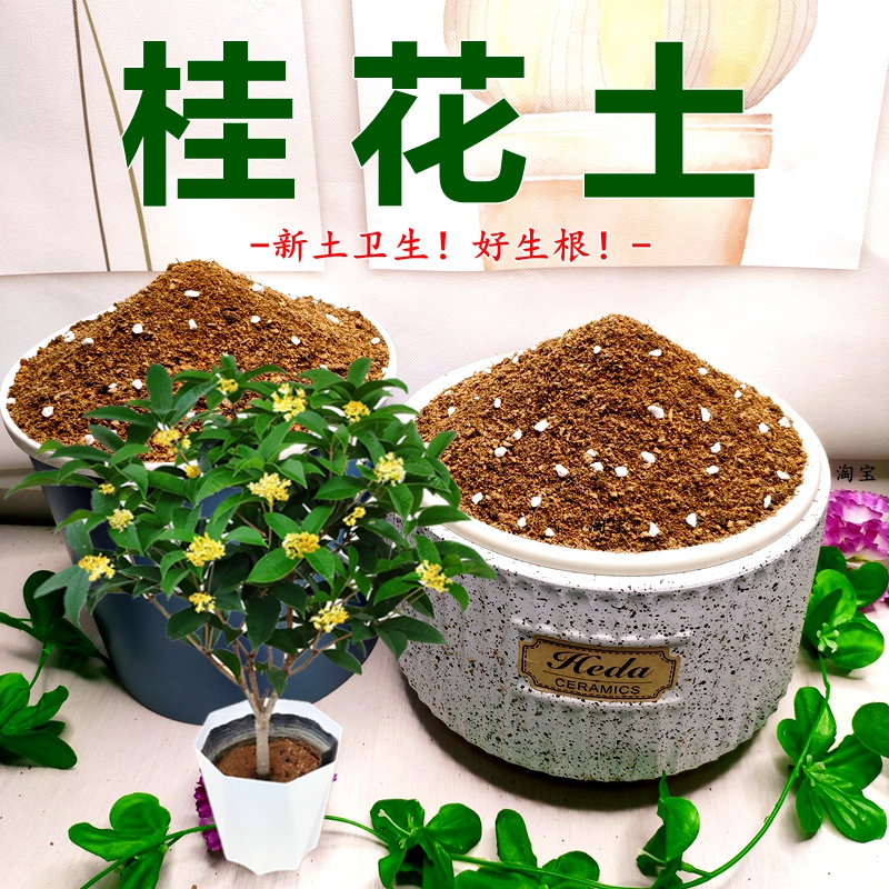 四季桂花专用土透气弱酸性木本花卉生根快种植营养土通用型有机土
