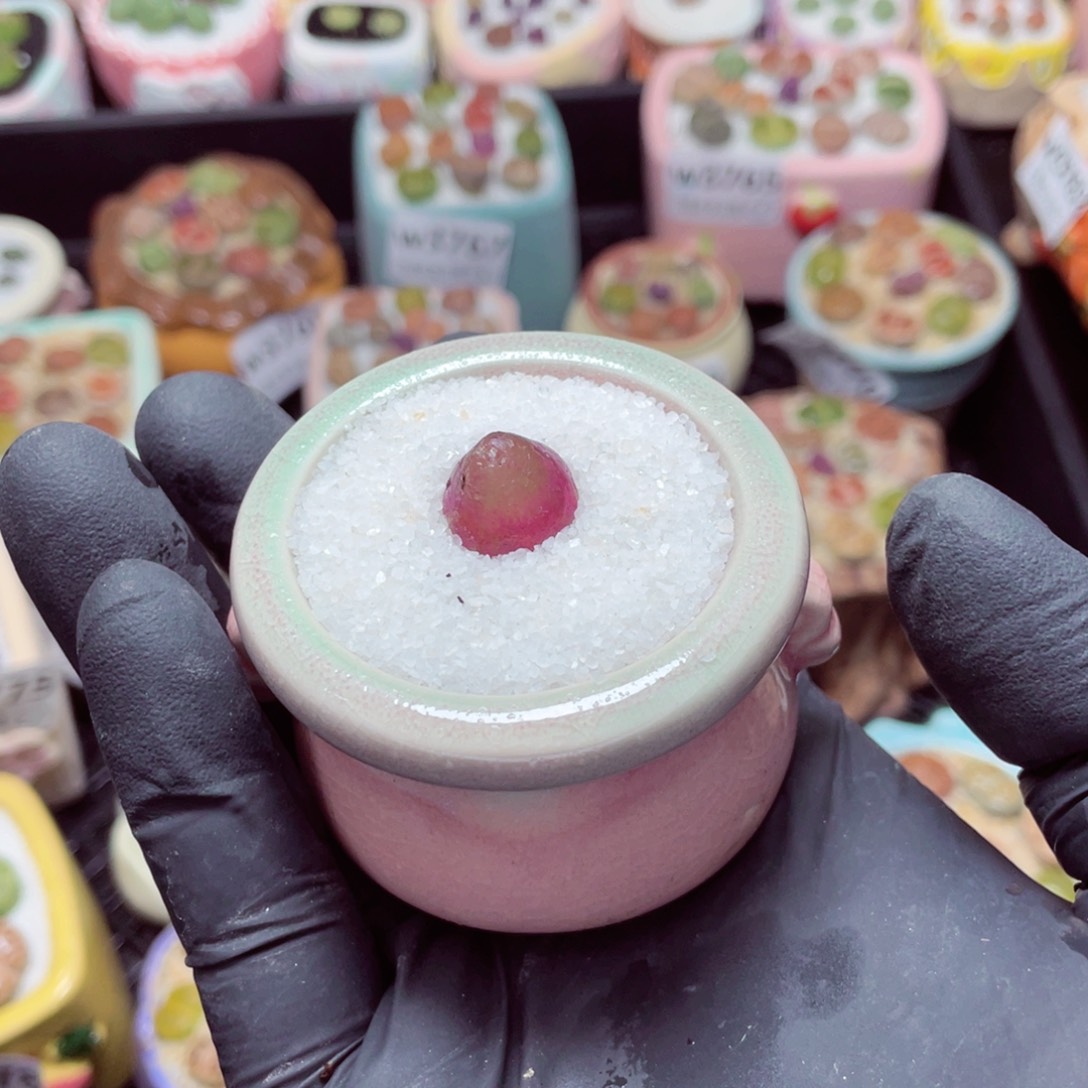 w3787--带盆土发货，零下地区拍保温箱