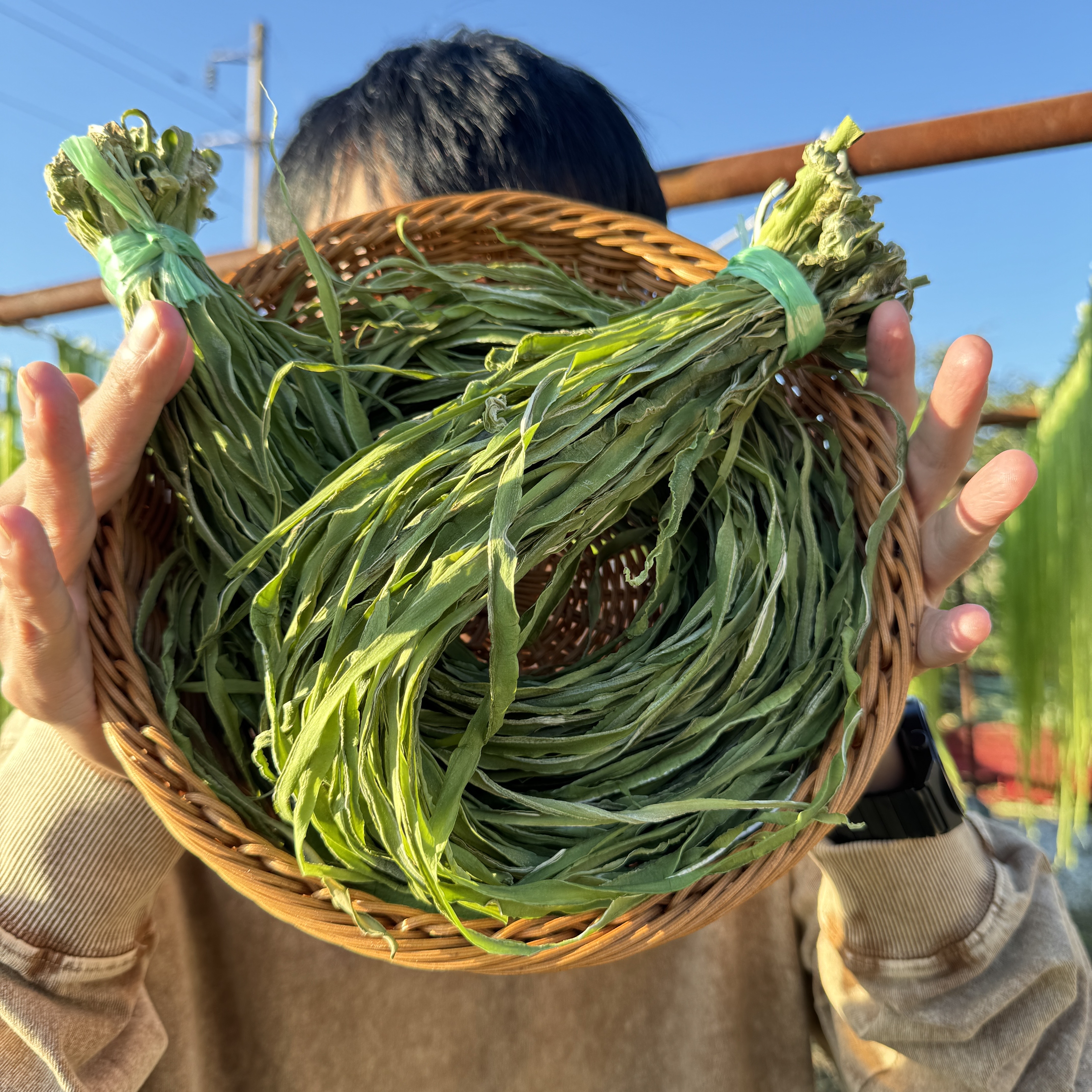 【原产地直发】2025云南新鲜贡菜台干菜响菜新鲜现发脱水蔬菜