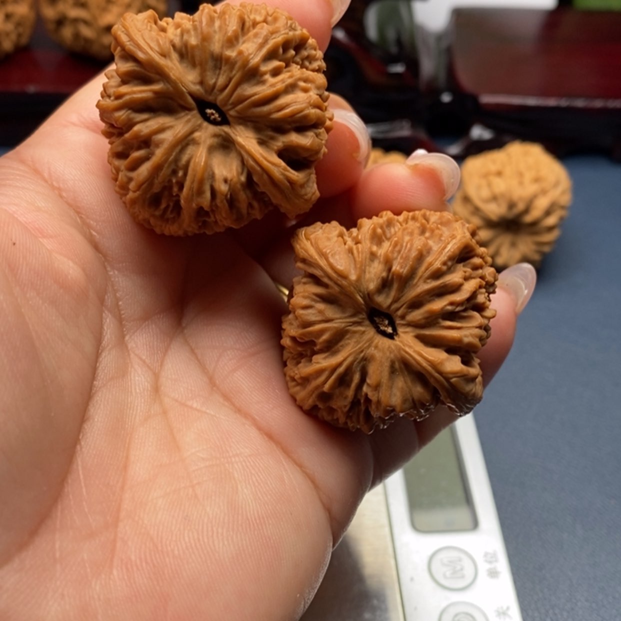 【闪购商品】9。高炮拉丝。南疆边393839