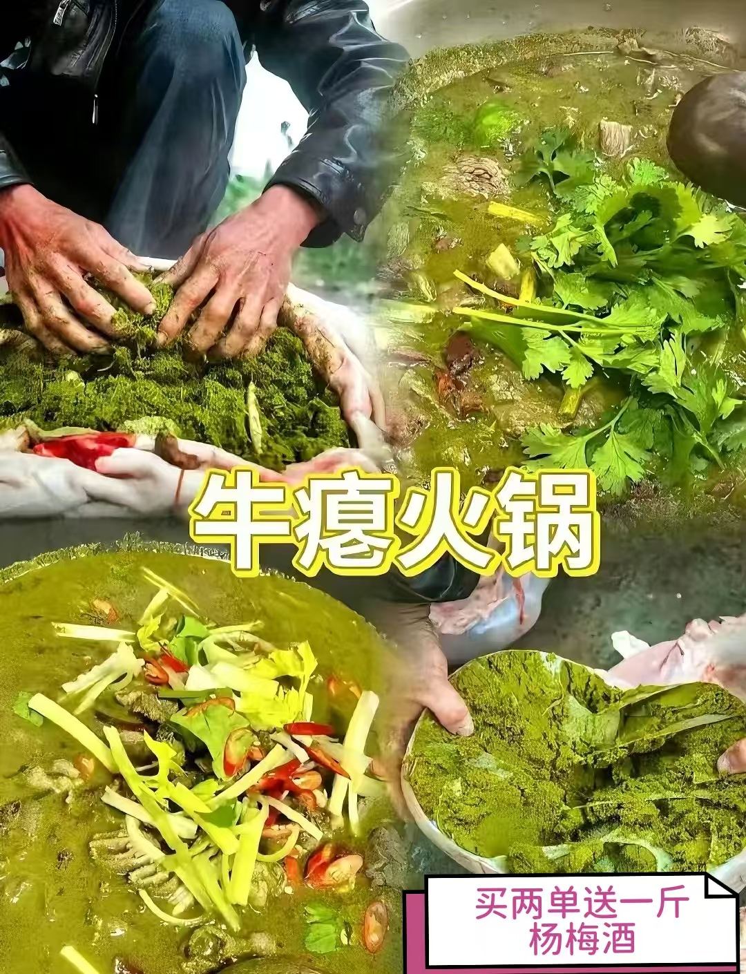 贵州牛瘪汤从江榕江凯里黎平特产火锅底料2斤装正宗牛瘪百草汤
