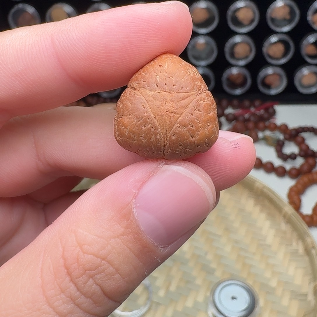 M***l凤眼菩提吊坠三角龙