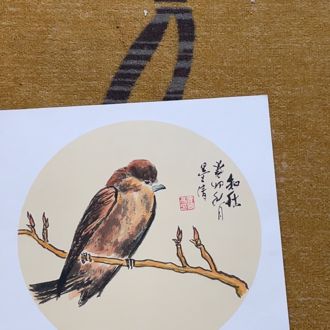 国画贾老师作品55555卡纸