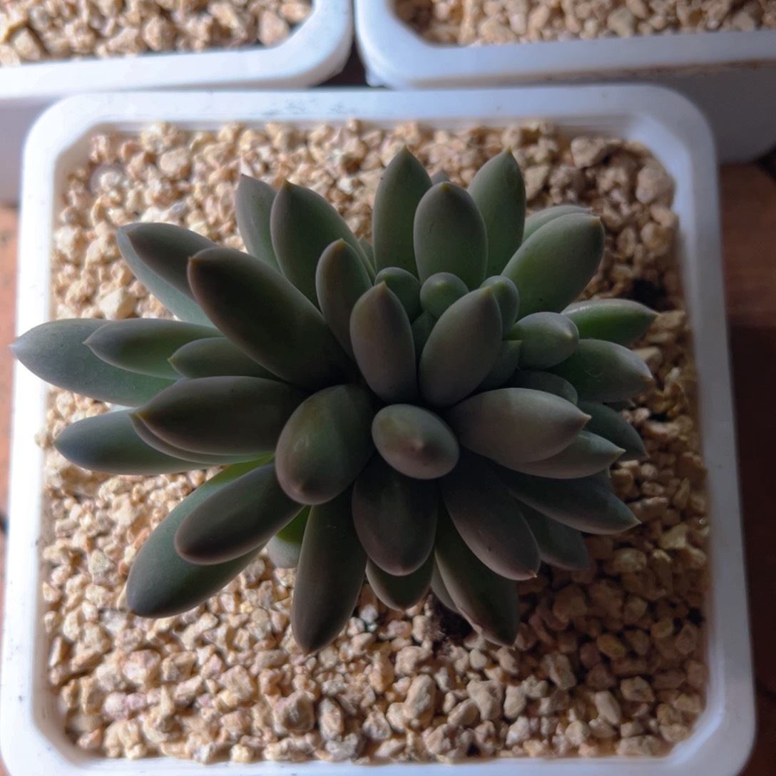 方哥11111111111111111