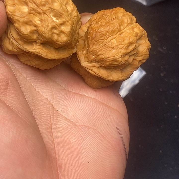 文玩核桃吊坠     123