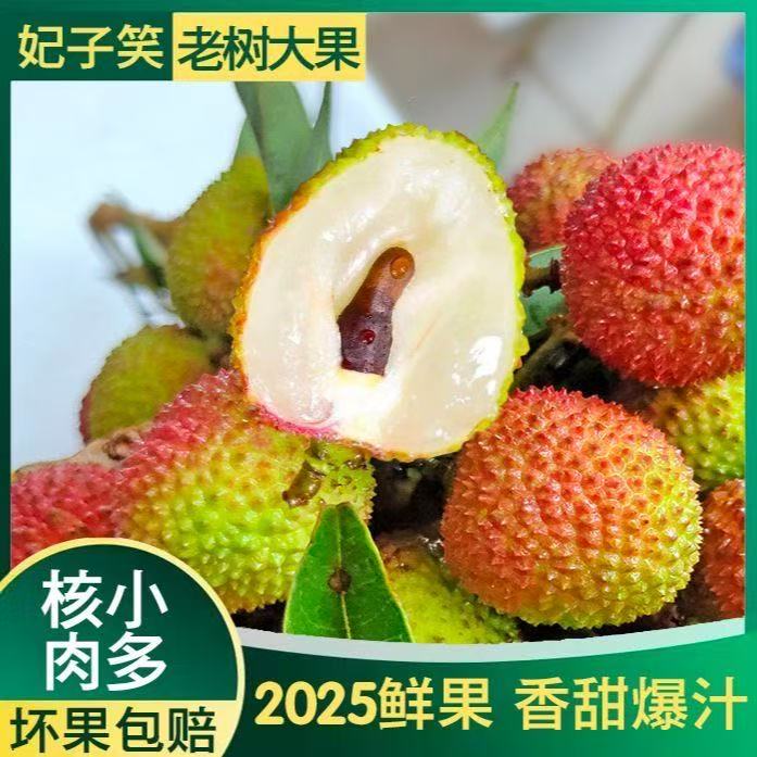 凤【顺丰/邮政空运专线】当季妃子笑荔枝鲜果采摘不泡水不催熟3/5斤新鲜广东省