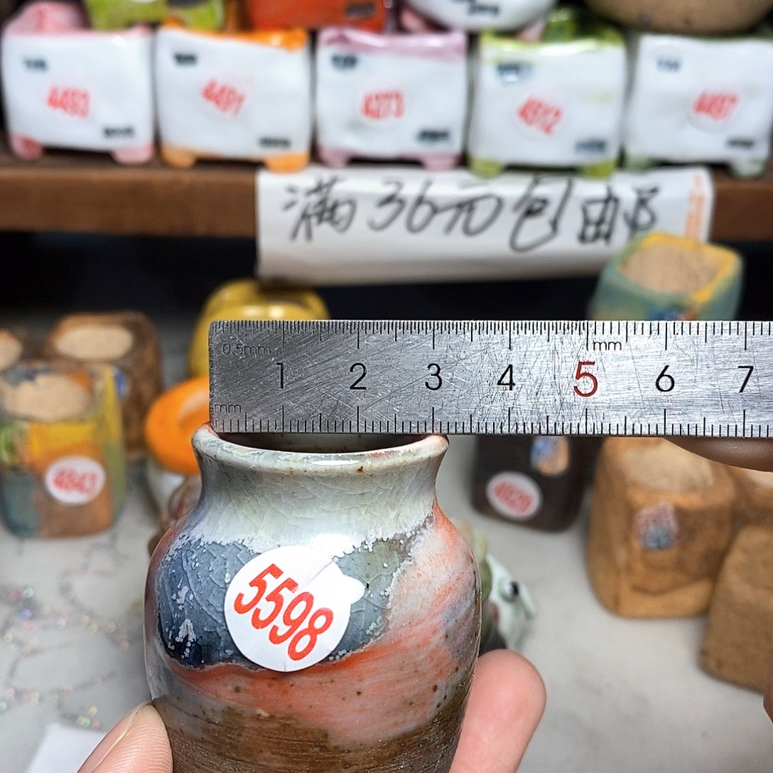 红陶拍5送一个小