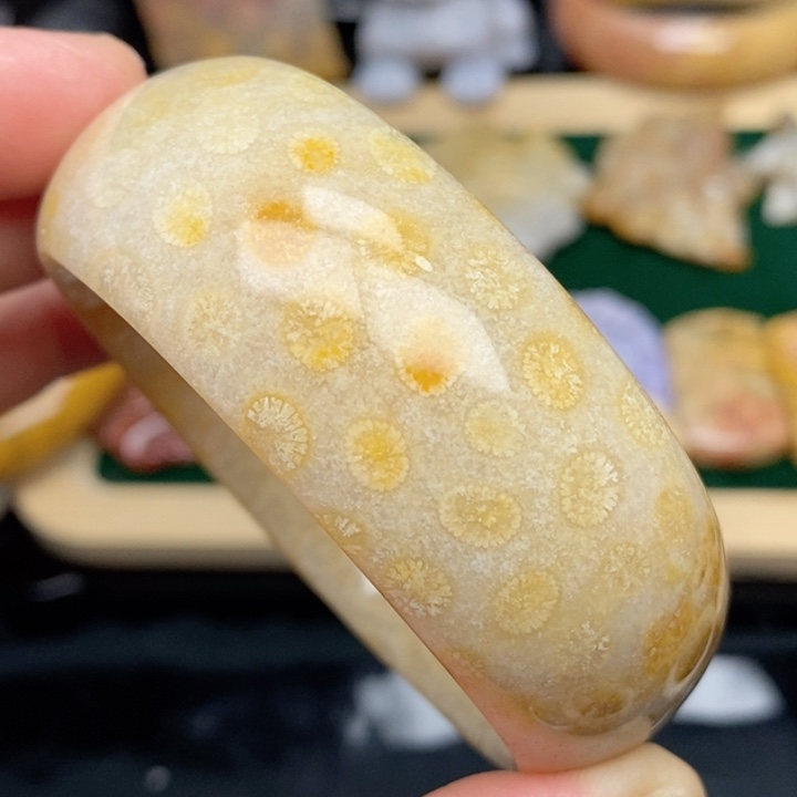 硅化珊瑚（珊瑚玉）手镯未镶嵌54.4