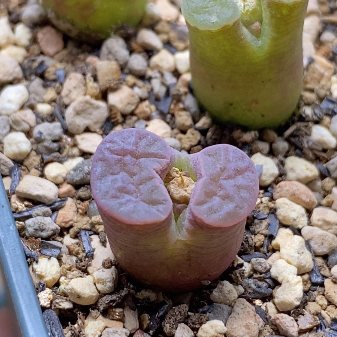 好看好看好看好看