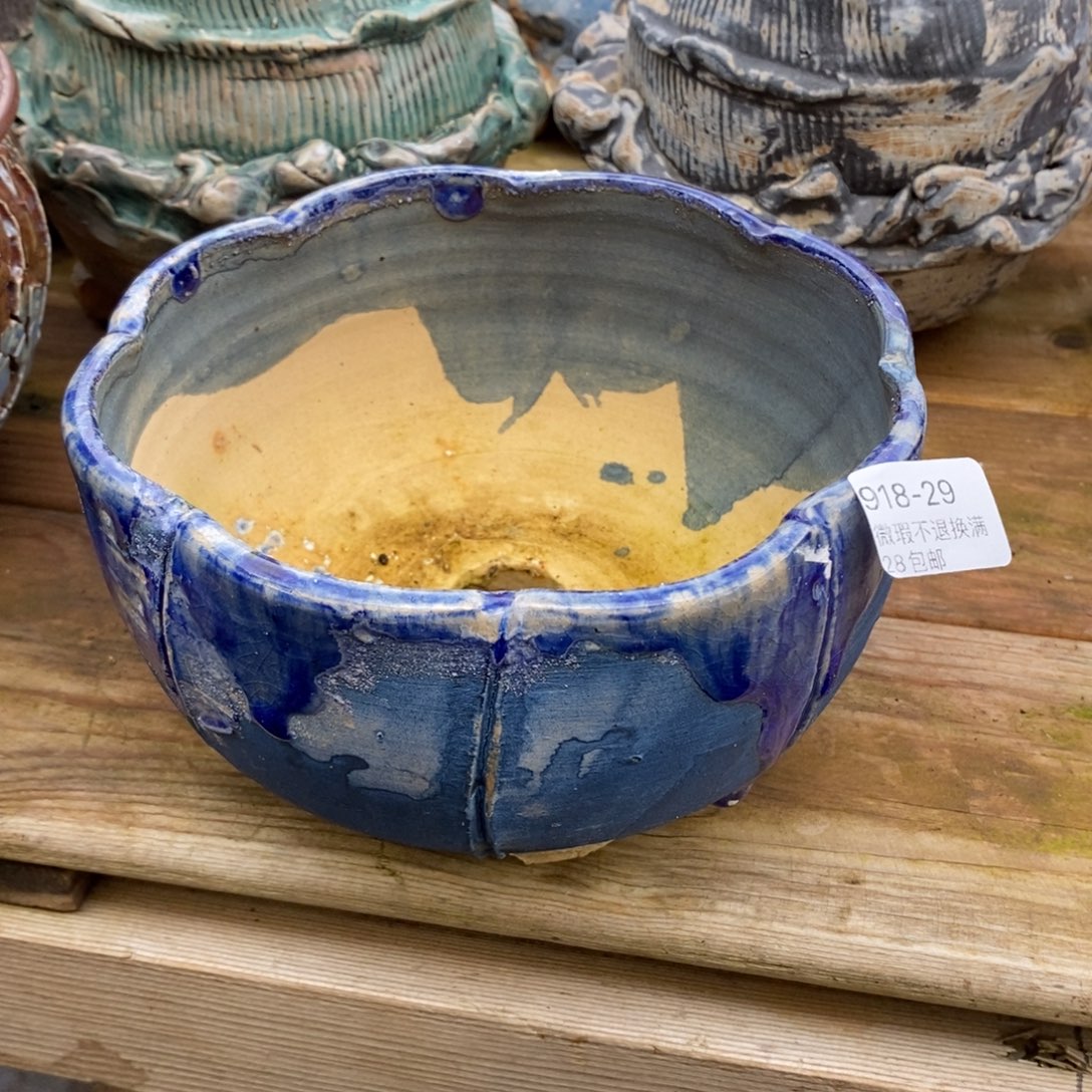 29号多肉盆口径13一卌