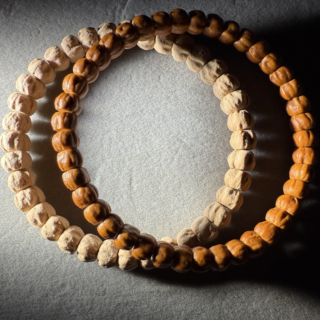 S0020袖中雀—8mm左右-百香籽百香籽推荐商家