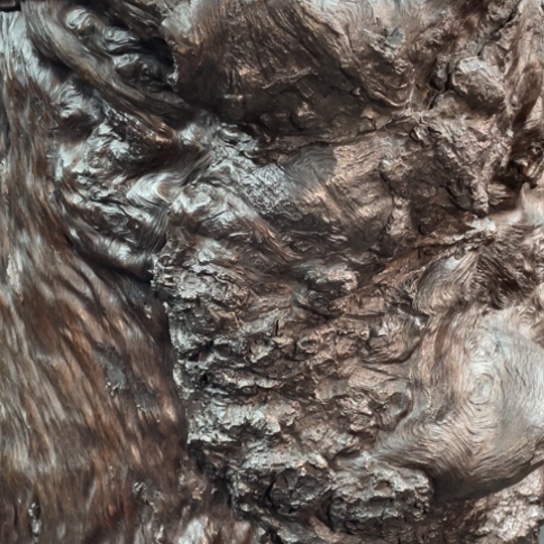 老***）香榧木瘿木大笔筒