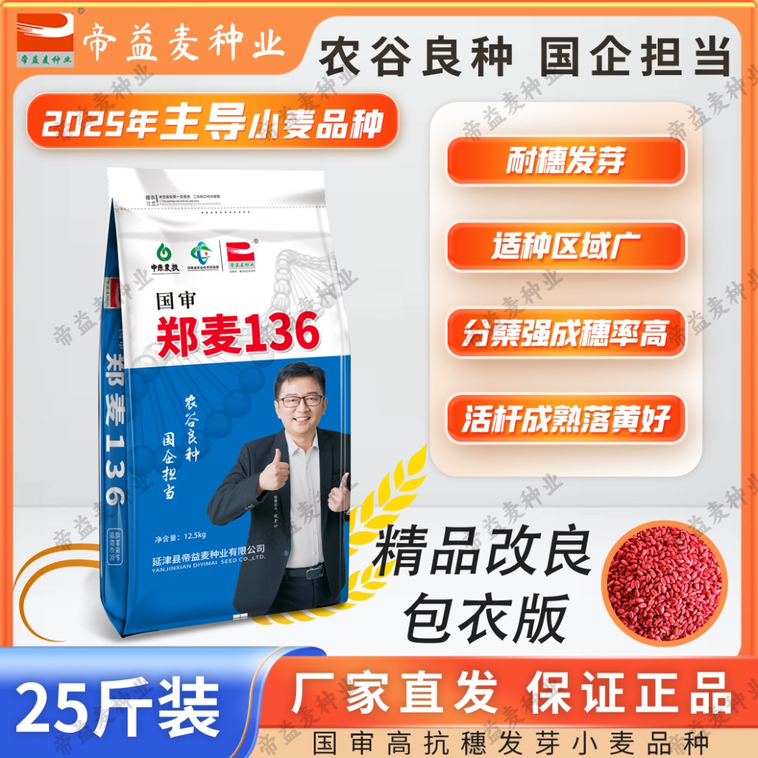 帝益麦种业郑麦136国审优质高产小麦抗旱超一代种耐寒白粉锈病