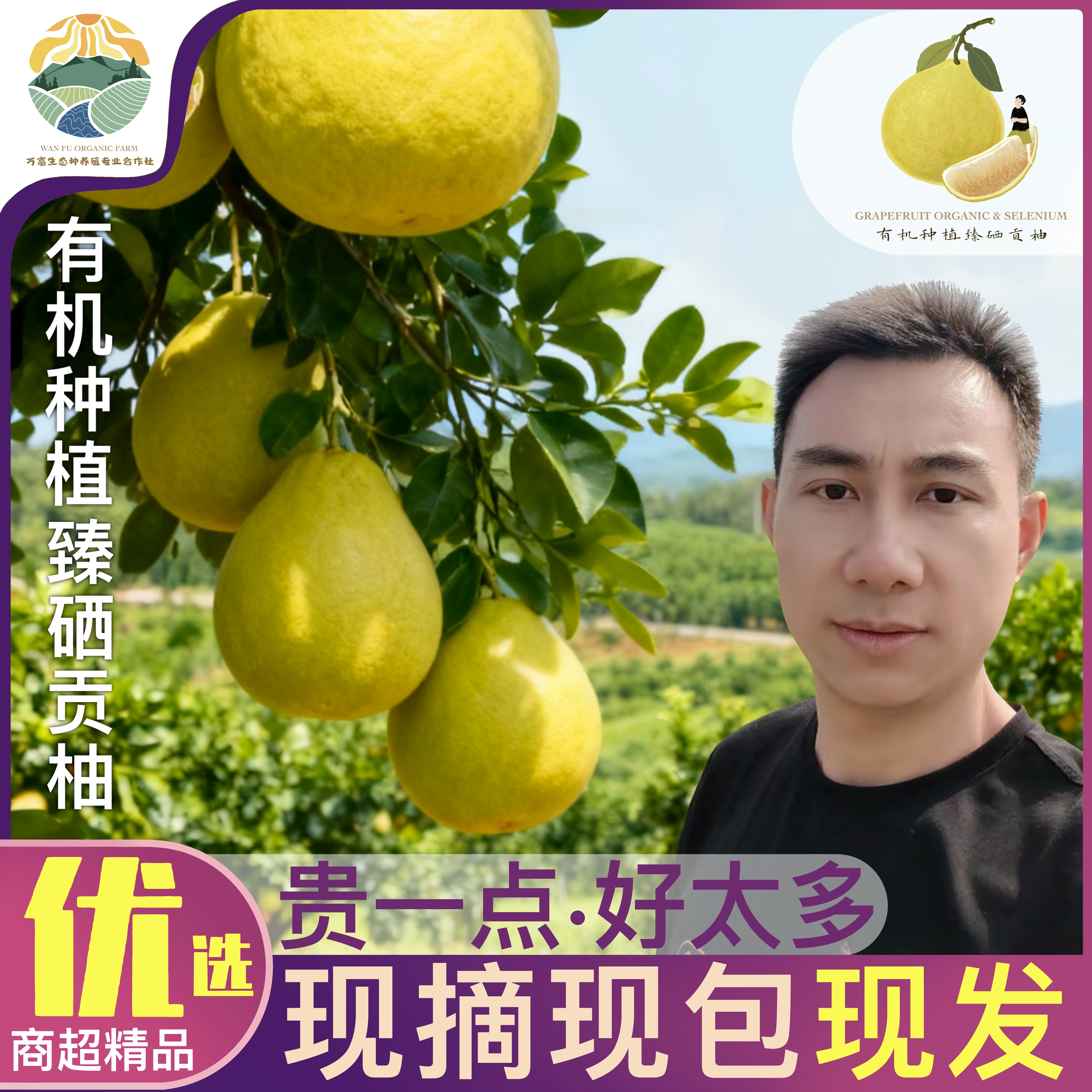 有机种植臻硒贡柚【0农残】果肉饱满细嫩化渣果园直发（优选果）