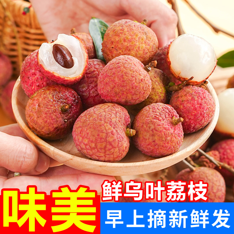 【现货速发】黑叶荔枝乌叶新鲜水果大果现摘甜荔枝冷链包邮