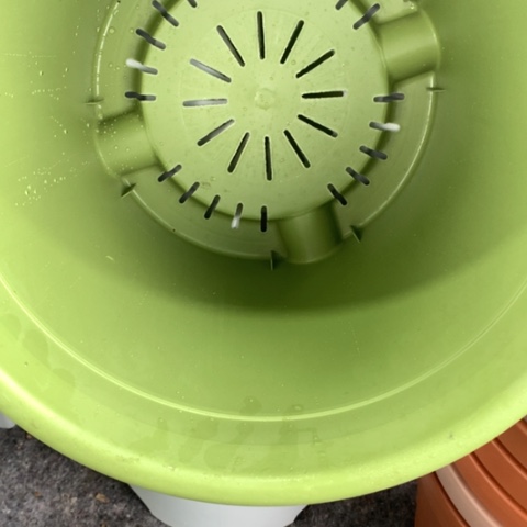 5加果绿无托4个圆形