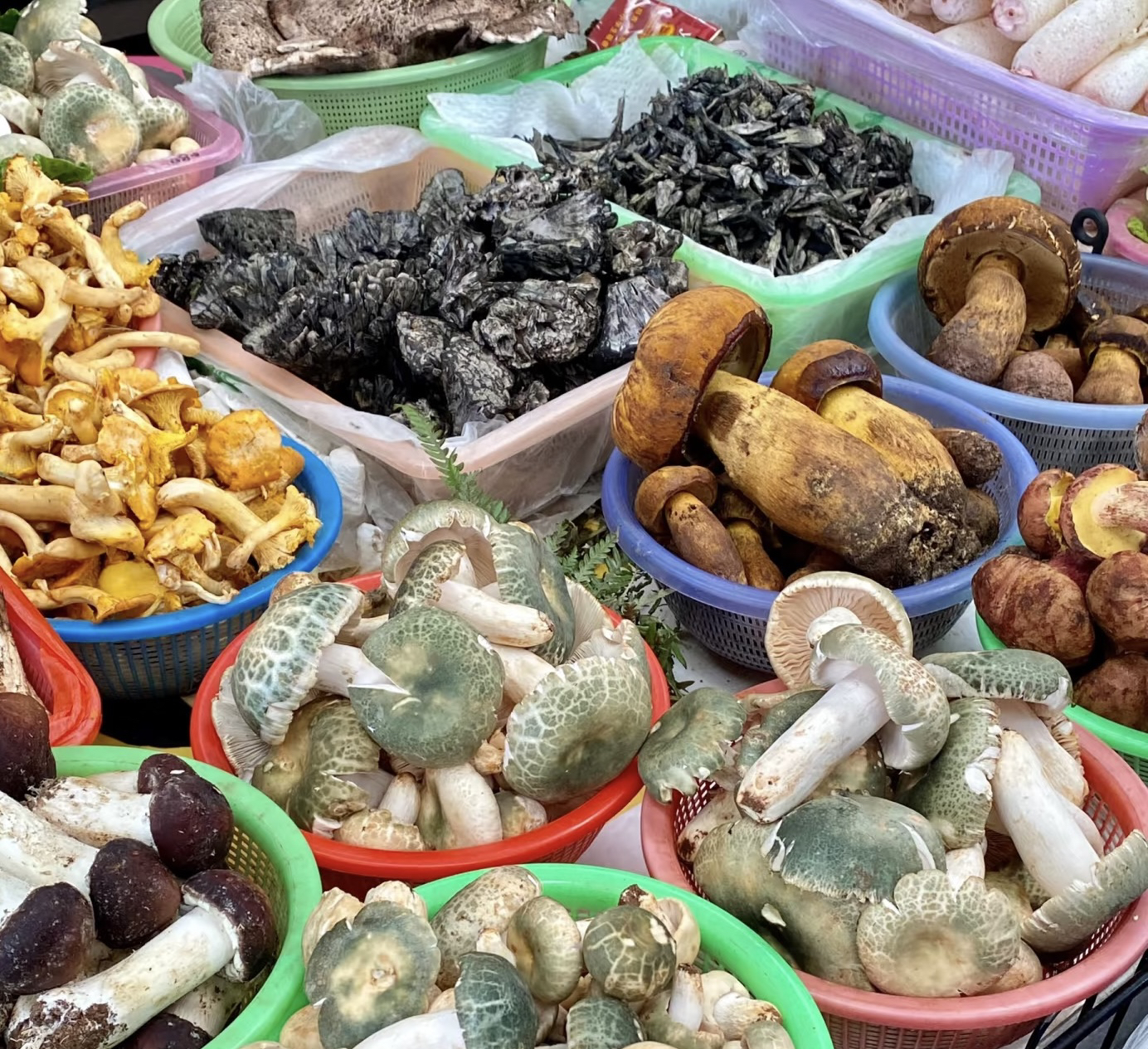 【5号牌子土特产-山菌菇】现收初级农产品