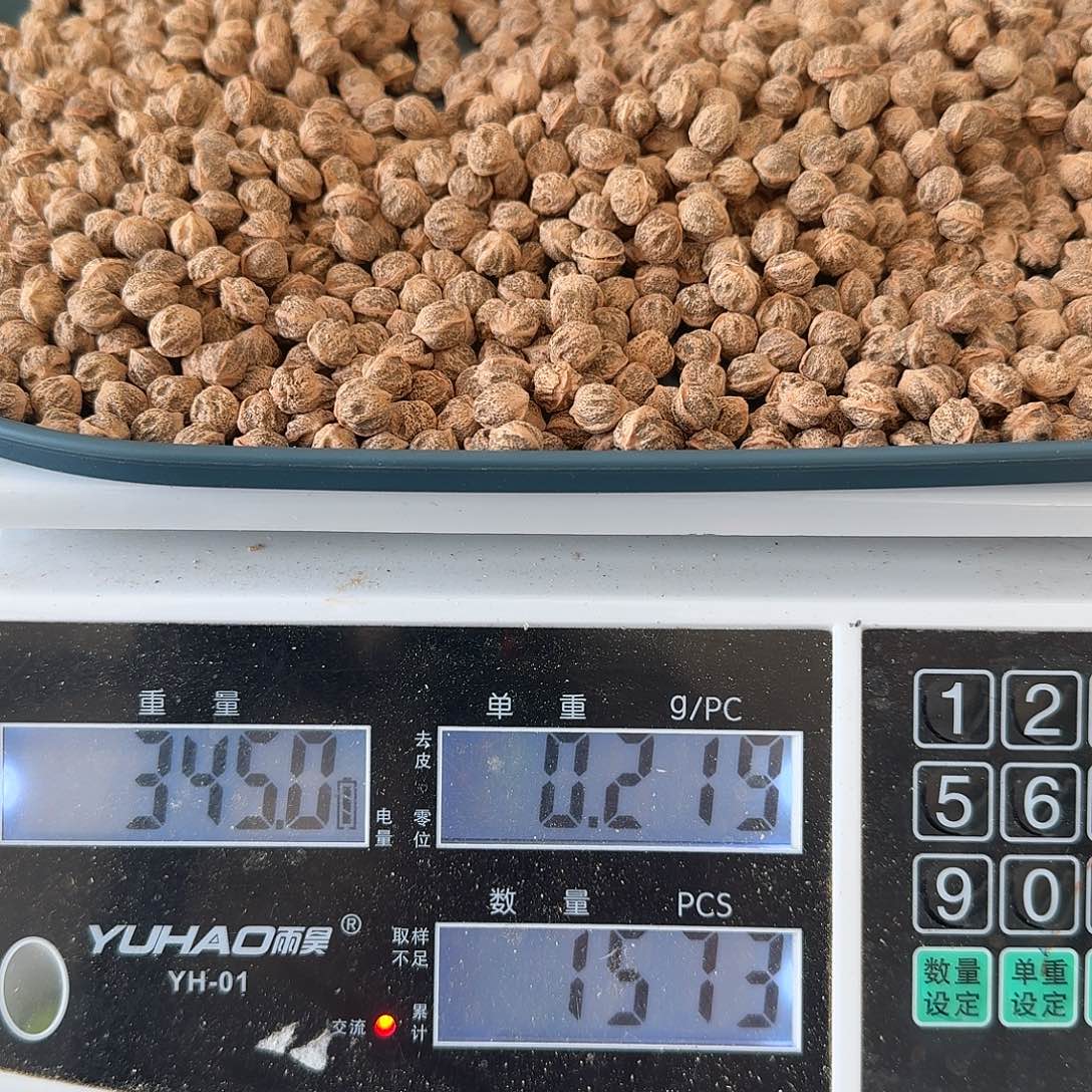 M***耿吊坠柏香籽/百香籽345克HT005