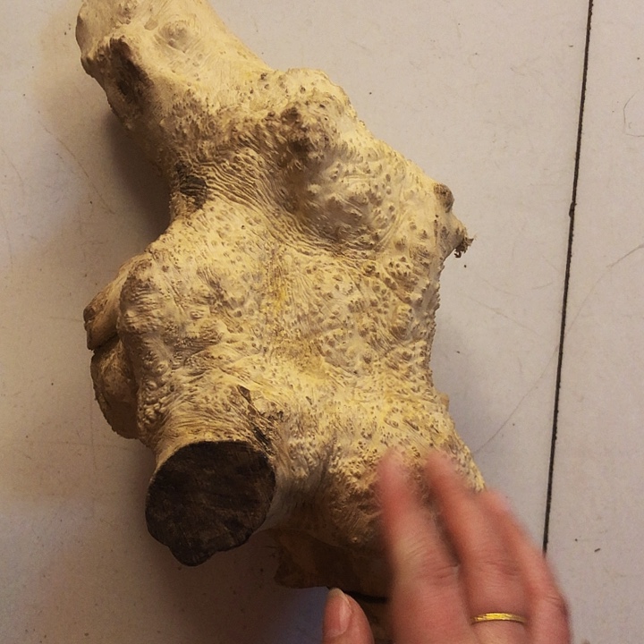 孙***军木木料木料木料木料