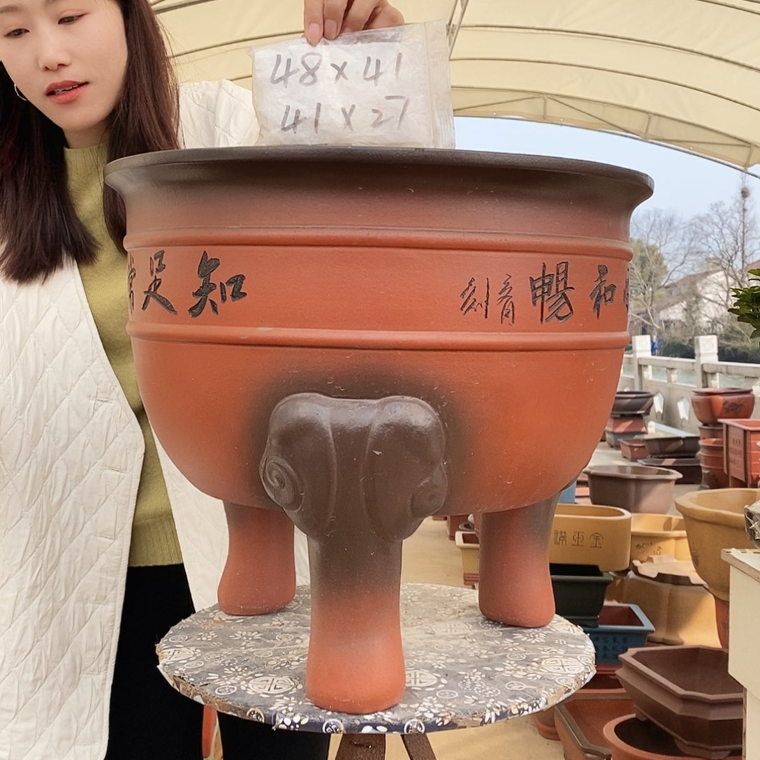 紫砂花盆紫砂花盆