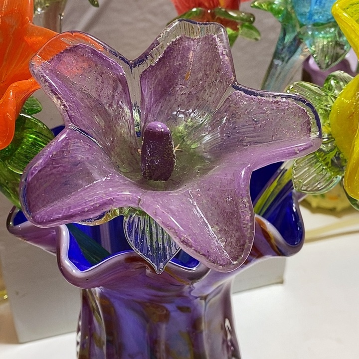 夜光花高45厘米宽12