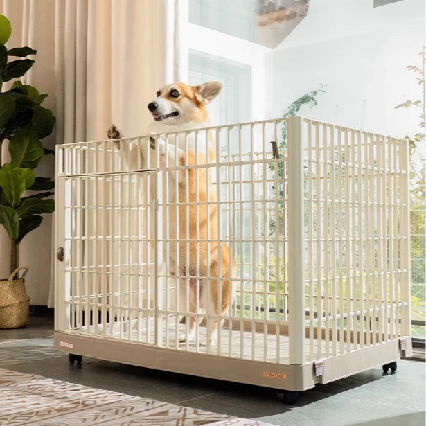 博美博美专属笼子链接定金 