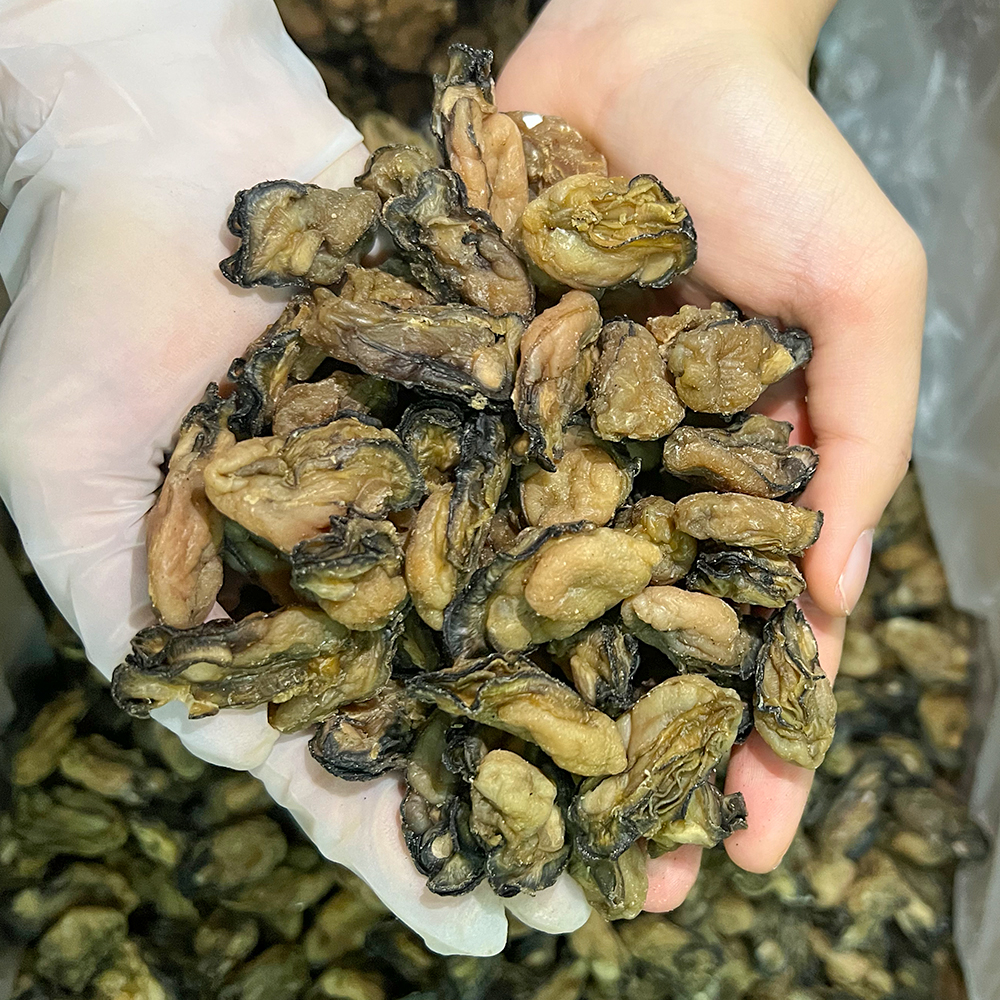新晒 淡干新鲜海蛎干生蚝干牡蛎干500g干货
