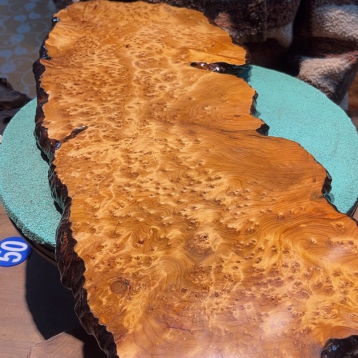 不***崽香杉木四川成都市